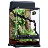 Harley-Davidson Dog Collar