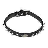 Perfect Coat Studio Freshening Sprays