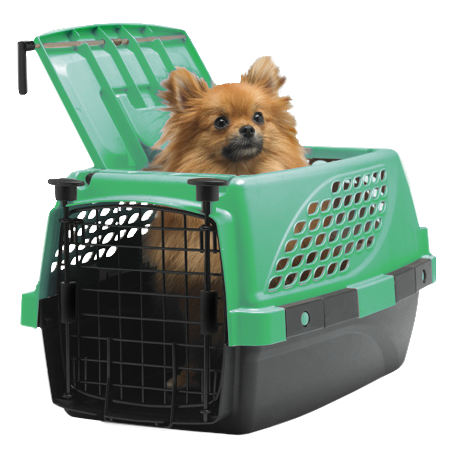 Water Bottles for Small Animals