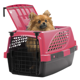 Water Bottles for Small Animals