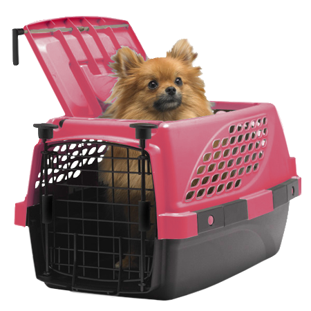 Water Bottles for Small Animals