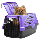 Water Bottles for Small Animals